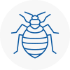 Bed Bug Extermination In Rickmansworth